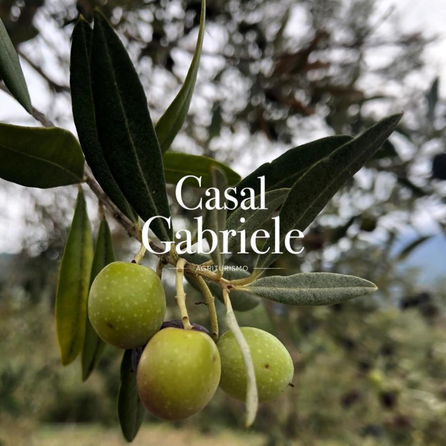 Casal Gabriele Vila Lettere Exterior foto